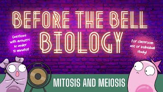 Mitosis and Meiosis Before the Bell Biology [upl. by Stucker595]