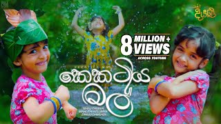 Kekatiya Mal කෙකටිය මල්  Various Artist  Diyani Teledrama Song  eTunes [upl. by Gebelein216]