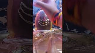 Sadashivbholenath shivshankar omnamhshivay comment harharmahadev viralvideo shortvideo om [upl. by Hutchison]