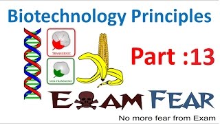 Biology Biotechnology Principles part 13 Vectors Restriction Sites class 12 XII [upl. by Gish915]