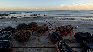 Easiest crays in NZ Return to Glenburn station Waitangi weekend 2024 [upl. by Nuawad]