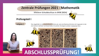 ZP 10 NRW Mathe 2021  Mittlerer Schulabschluss Realschule MSA  Teil 1 Aufgabe 1  Insektenhotel [upl. by Novelia866]