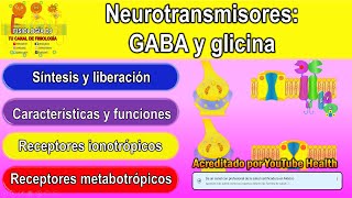 Neurotransmisores  Sistema nervioso central  GABA neurotransmisor  Glicina neurotransmisor [upl. by Kiran]