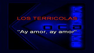 Karaoke Terricolas Ay amor ay amor [upl. by Ytirahc]