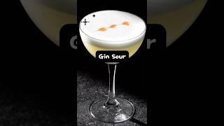 Gin Sour🍸cocktail bartender short trending viral gin lemon syrup egg asmr sour yt [upl. by Adnawed786]