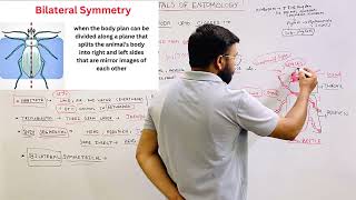 Phylum Arthropoda General Characteristics  Bsc Agriculture  Entomology [upl. by Cacia615]