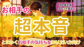 【とにかくお相手の気持ちを知りたい方へ】お相手の超本音【個人鑑定級当たるタロット占い】 [upl. by Oirasor]