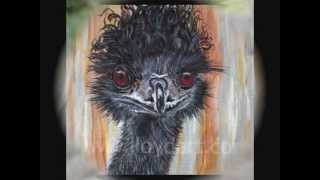 the emu song [upl. by Berta]