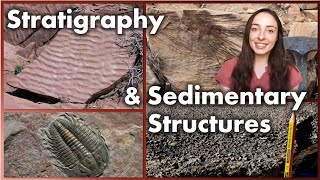 Stratigraphy and Sedimentary Structures  GEO GIRL [upl. by Dasi]