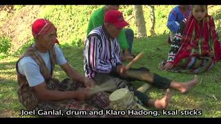 Natures Presences Music of the Indigenous Peoples of Southern Mindanao [upl. by Cirad]