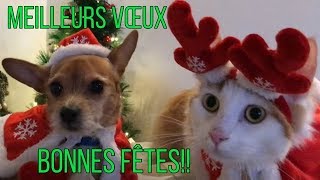 Bonnes Fêtes Meilleurs Vœux Avec Giggy et Frimousse [upl. by Peony]