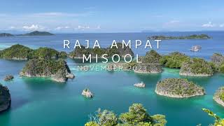 Raja Ampat amp Misool Scuba Diving  Liveaboard Trip on the Coralia  SeaCrush November 2023 [upl. by Aridnere493]