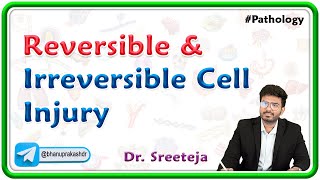 1 Reversible And Irreversible Cell Injury  USMLE Step 1 Pathology [upl. by Annahsed595]