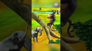 मुर्ख बंदर की कहानी Murkh Bandar🐒Hindi Moral Stories  Hindi Kahani  Animal Stories shorts story [upl. by Elyrad]