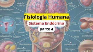 Do Cérebro ao Corpo A Influência dos Hormônios na Fisiologia Humana [upl. by Hinkel403]