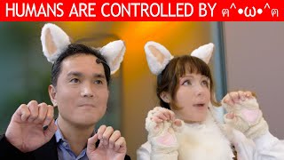 Necomimi Cat Ears Review TEST and Maker Interview of the Brainwave Gadget [upl. by Adaha433]