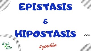 Persilangan Epistasis amp Hipostasis  Penyimpangan Hukum Mendell [upl. by Pineda]