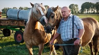 Krauses Zukunft  Komödie Ganzer Film Deutsch [upl. by Noryb]