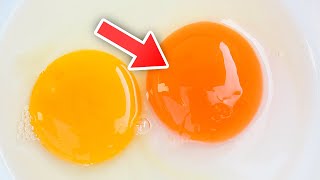 The Color Of Your Egg Yolks Actually Does Matter Heres Why [upl. by Gothar]