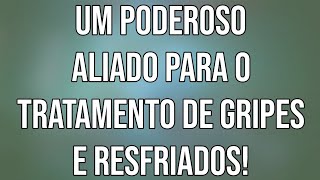 Esse é o Chá PODEROSO para o Tratamento de Gripes e Resfriados  Live Saudável [upl. by Idnek]