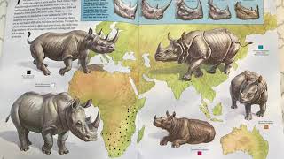 Zoobooks Rhinos The 5 Types [upl. by Akcinahs]