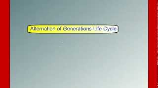 Alternation of Generations Life Cycle [upl. by Ybrad821]