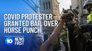 COVID Rioter On Bail After Allegedly Punching Horse  10 News First [upl. by Ahsiak]