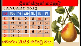 2023 calendar in sri lanka  2023 holidays sri lanka  sri lanka holiday 2023  2023 නිවාඩු දින [upl. by Aieka]