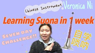 Learn to play the Chinese musical instrument Suona嗩吶 in 1 week零基礎無師自通一週自學西遊記Journey to the West [upl. by Siron757]