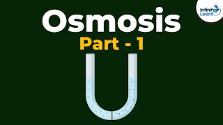 What is Osmosis  Part 1  Cell  Infinity Learn [upl. by Nitsuga119]