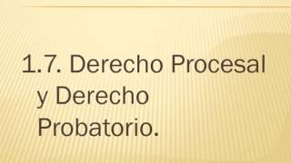 4 El Concepto de Derecho Procesal II [upl. by Braynard913]