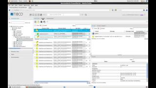 TIBCO BusinessWorks ProcessMonitor Overview [upl. by Yelyah]