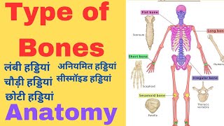 Types of Bones  Bones anatomy  skeleton system in hindi  physical education anatomy [upl. by Milburt]