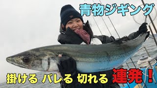 イワシの群を追う大型魚をジギングで狙う！ 釣りざんまいTV ジギング 船釣り [upl. by Nanci]