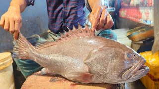 Amazing Hamour Fish Cutting Skills In Bangladesh Local Fish Market  Fish Cutting Skills [upl. by Annaerdna]