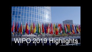 WIPO 2019 A Year in Highlights [upl. by Alrad285]