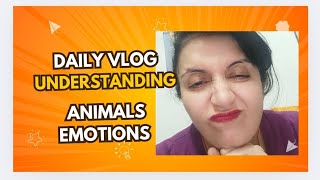 dailyvlog number 91 How to heal stress in Agrimony pets [upl. by Sheley]