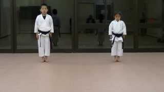 JKA Mahiro amp Masaki practice Heian shodangodan and Tekki shodan part 1 [upl. by Rawdin486]