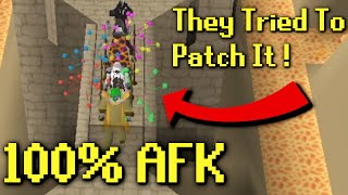 Jagex Tried To Patch AFK Agility But They Failed [upl. by Aveneg]