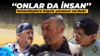 Vatandaşlara köpek yasasını sorduk köpekyasası [upl. by Berghoff]