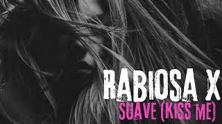 Rabiosa x Suave Kiss Me  Mashup Song  Trending Song  New Song  VibeNest [upl. by Martell838]