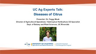 UC Ag Experts Talk Diseases of Citrus [upl. by Ellehcim172]