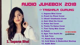 Trishala Gurung songs collection 2018 Jukebox [upl. by Boyer]