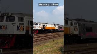 Kereta Api Stasiun Cikampek [upl. by Amadeo]