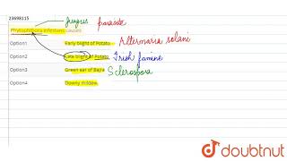 Phytophthora infestans causes [upl. by Iolande]