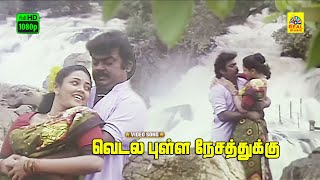 Vedala Pulla Nesathukku Video Songs  Periya Marudhu  Ilaiyaraaja  Vijayakanth  Stereo  HD [upl. by Aenad]