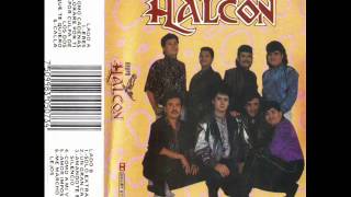 Grupo Halcon Por Culpa de los Dos [upl. by Ellennod]