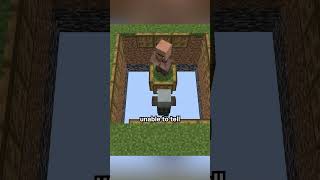 Can these blocks protect a villager [upl. by Teahan]