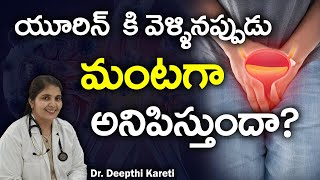 Symptoms and Causes of UTI in Diabetic Patients in Telugu  Dr Deepthi Kareti [upl. by Oringas180]