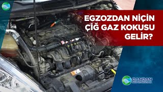 Egzozdan Çiğ Gaz Kokusu Neden Gelir Tehlikeli mi [upl. by Attehcram]